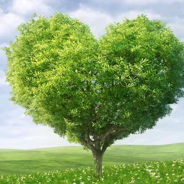 笑对人生⁹⁰⁹