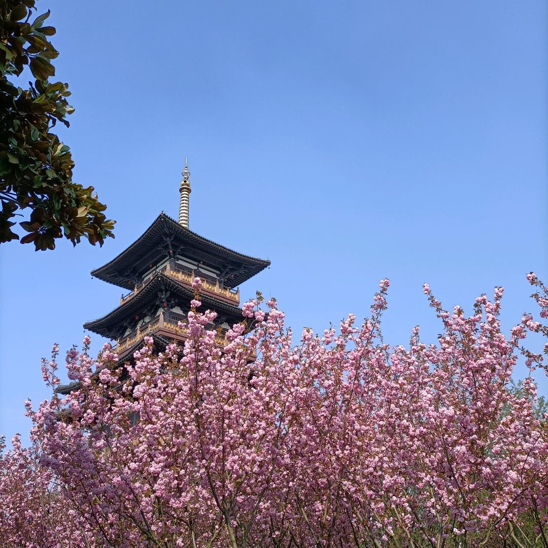 未来之星