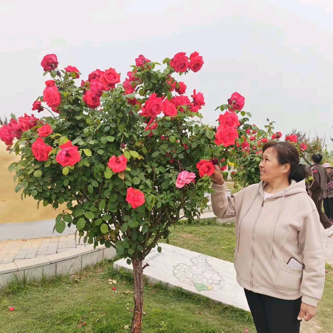 陈姊妹