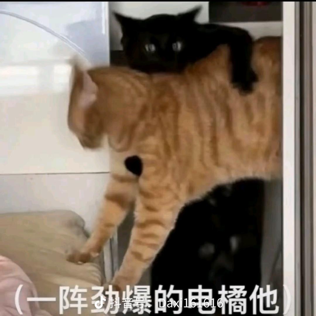 Allure (colorblind版)