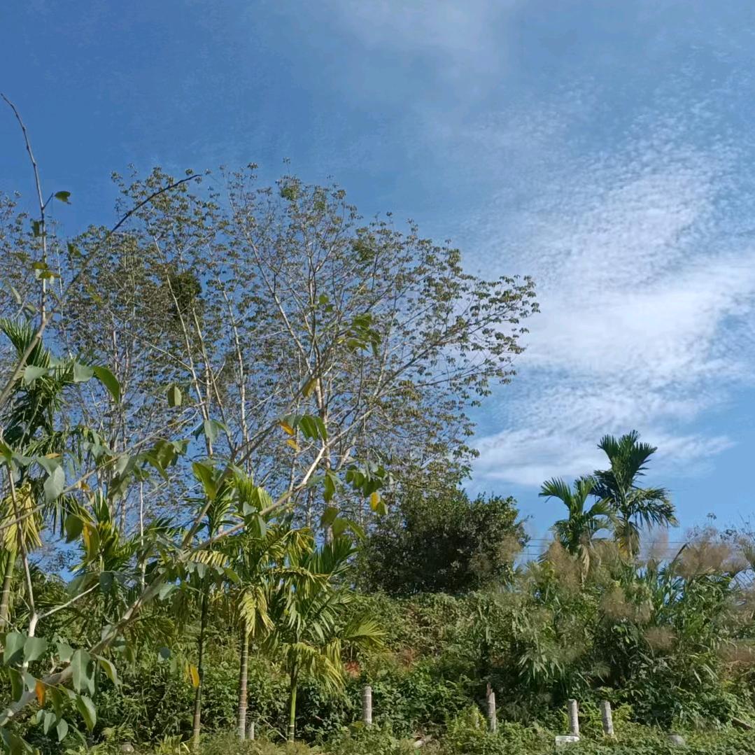 田园生活淼淼淼