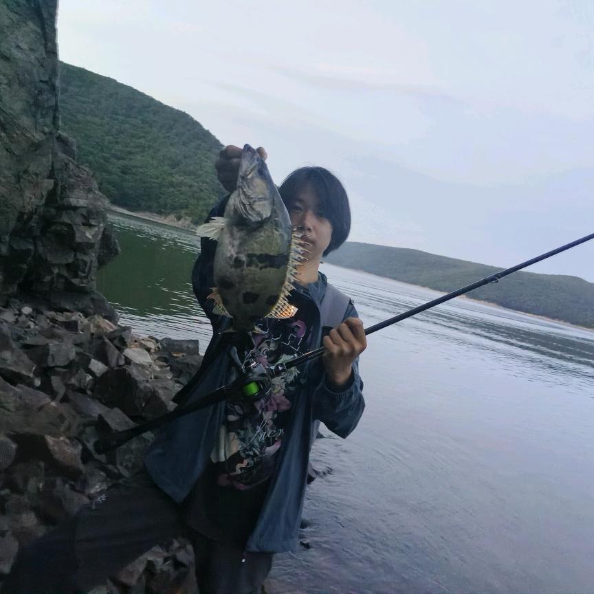 回见(路亚🎣)