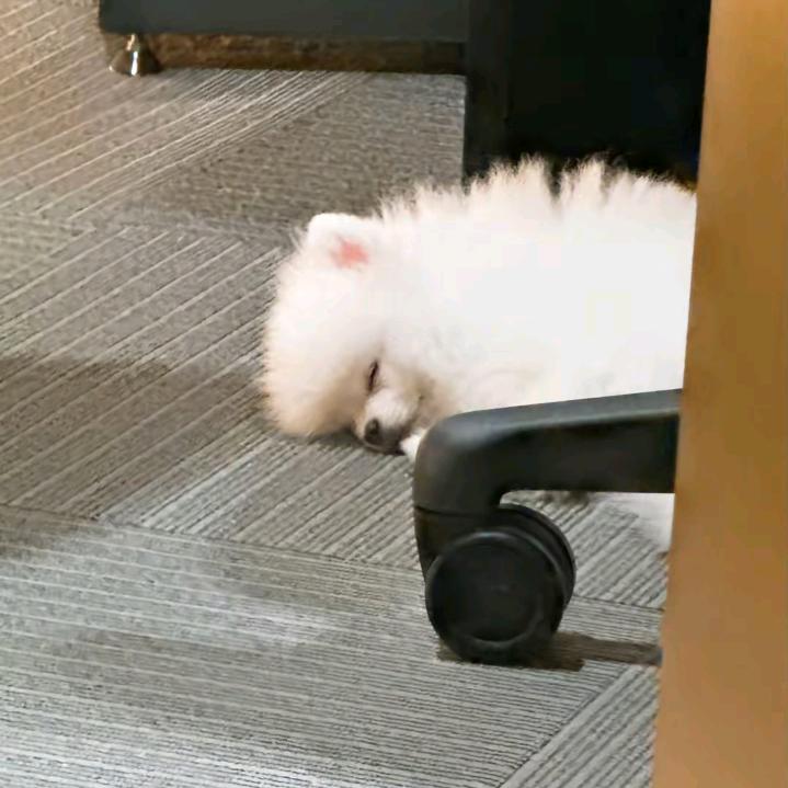 是baekhyunee呐呐
