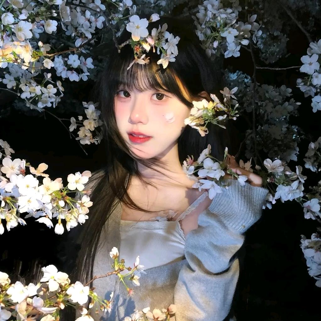 汤圆🍡