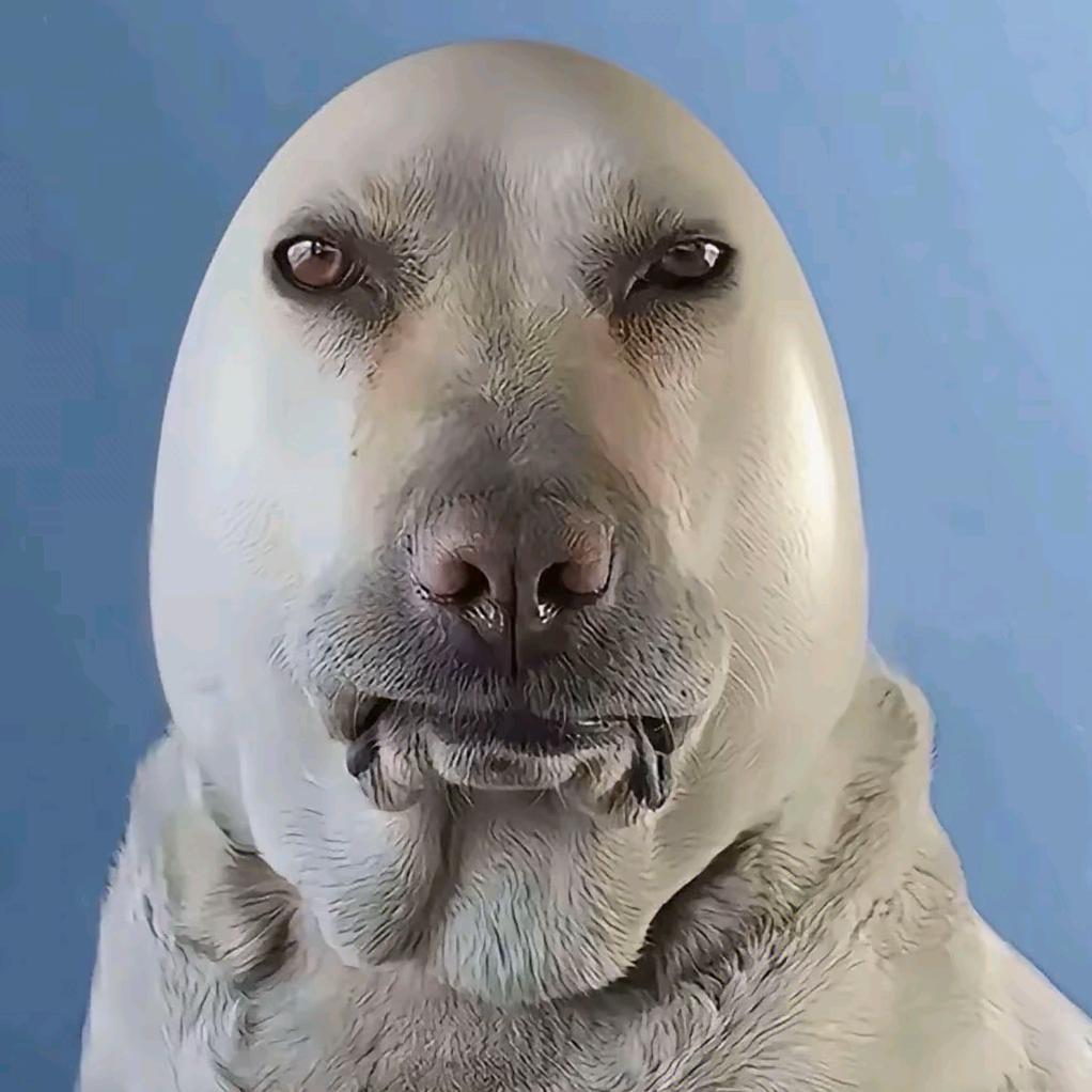 狗蛋