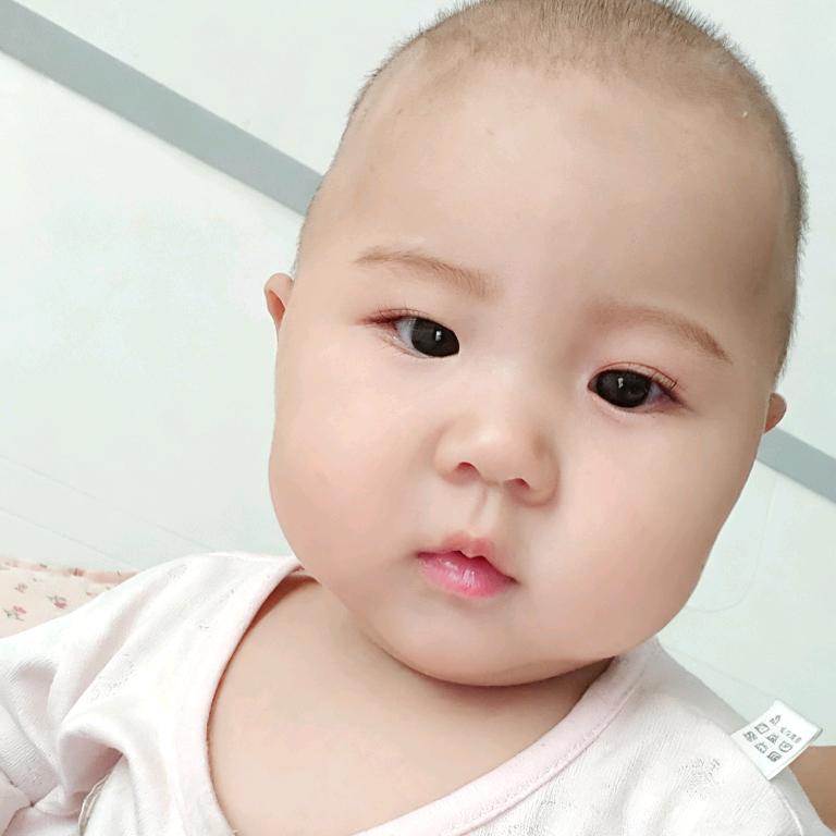 瑶不可及的梦
