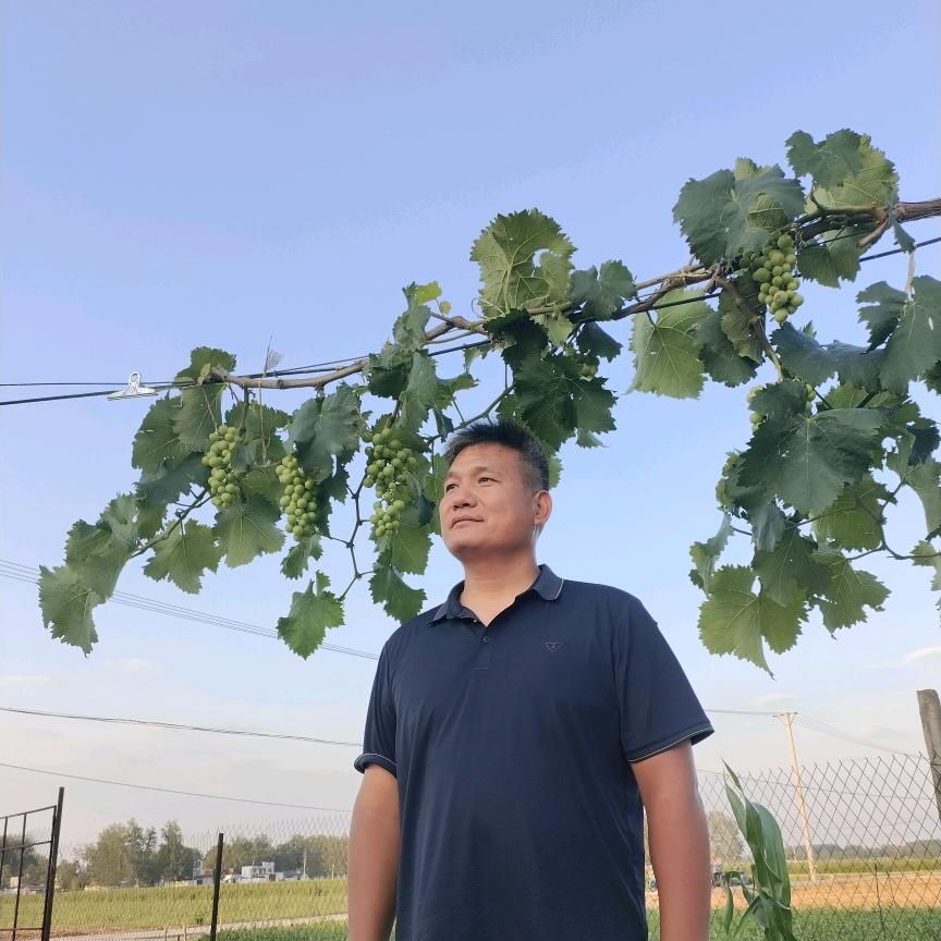 酷四