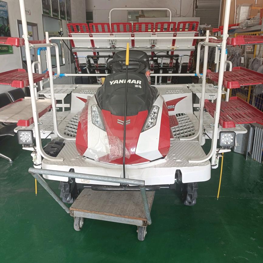 霍邱县城关镇南戎西村水稻育秧工厂