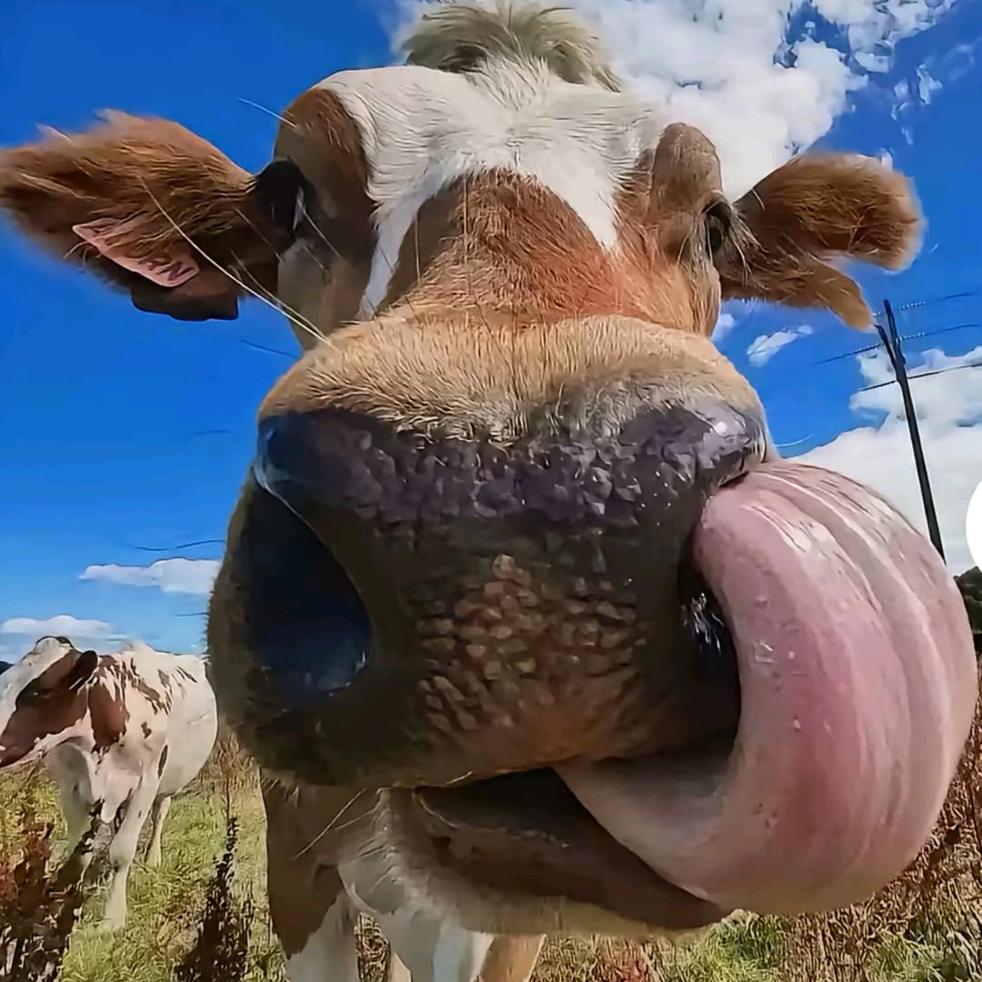 超雄抑郁症中午屎没憋住屙床上被护工按着打