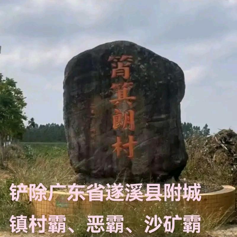 寻找正义铲除广东省遂溪县筲箕朗村村霸