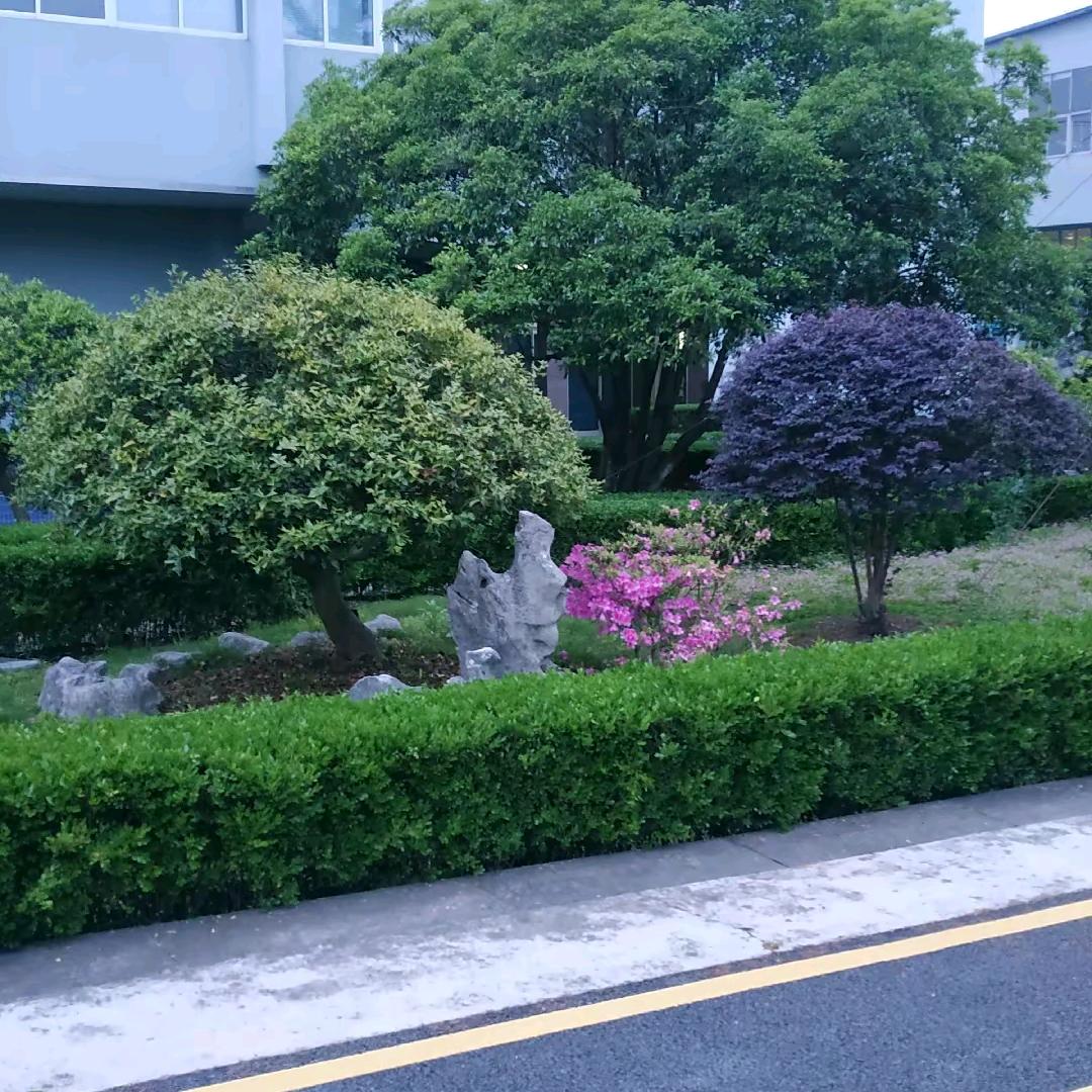 $%汶南%$劉一守%$