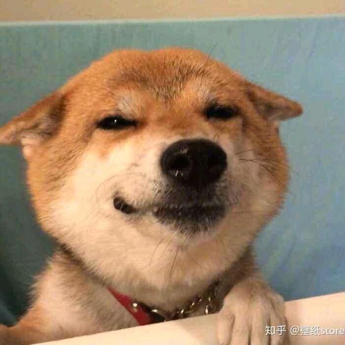 心雨季