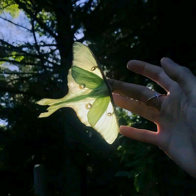 𖦹ࡇ𖦹.