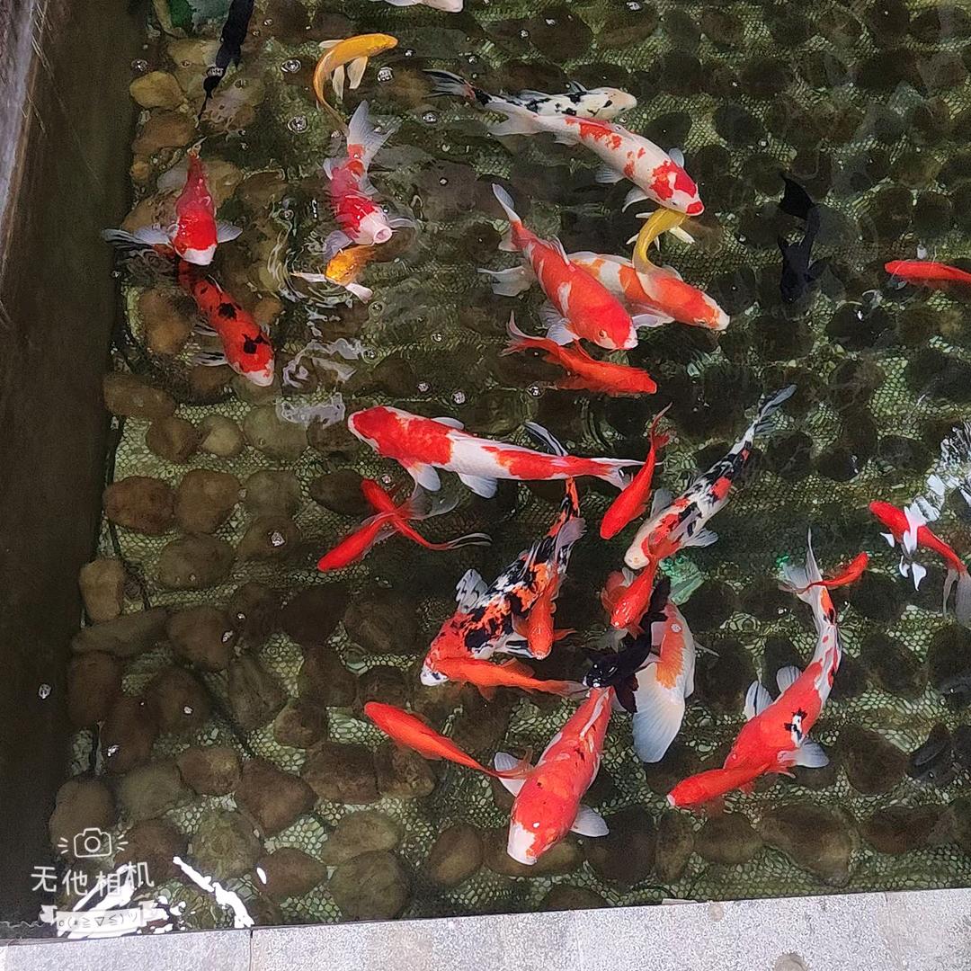 老大姐的任性你不懂