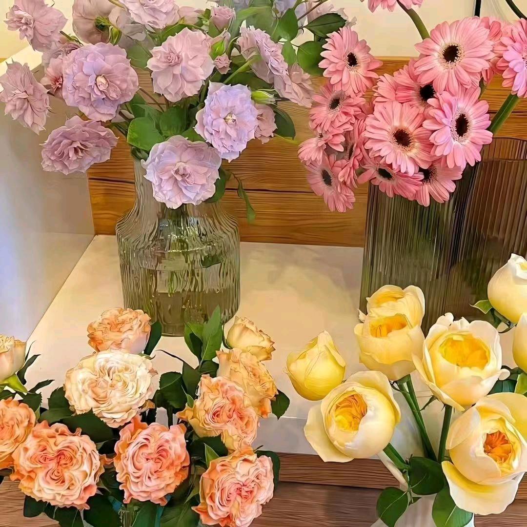 💔ꦿ໊余生᭄🕊一起走