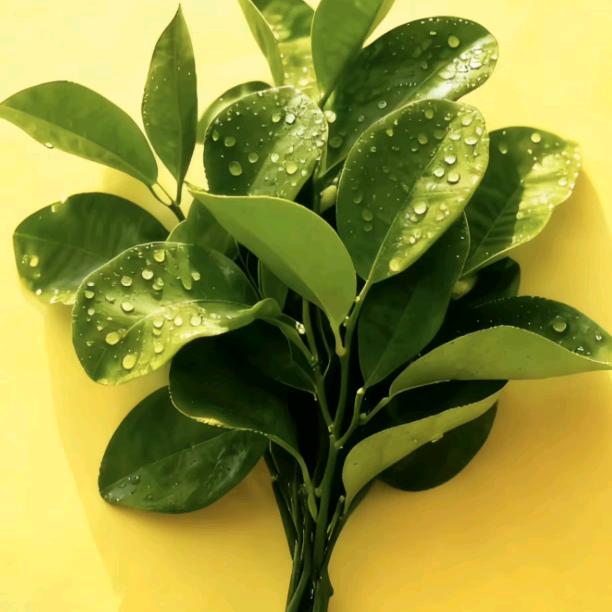 💕ꦿ҉好ᨶ႒ᩚ运ᥫᩣ໌້ᮨ加满