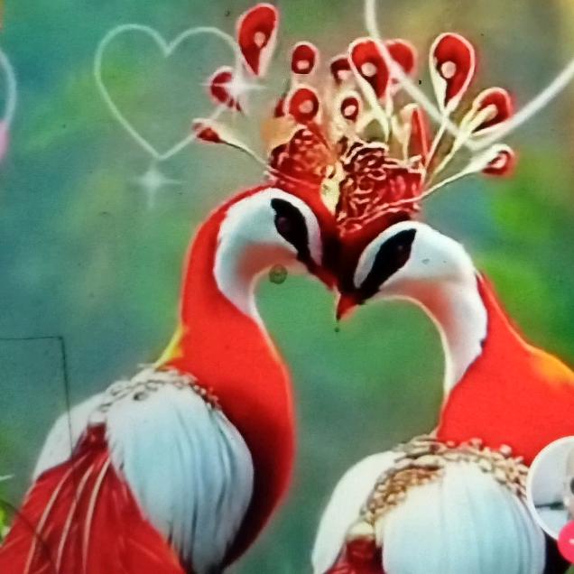 爱唱歌的牧羊人