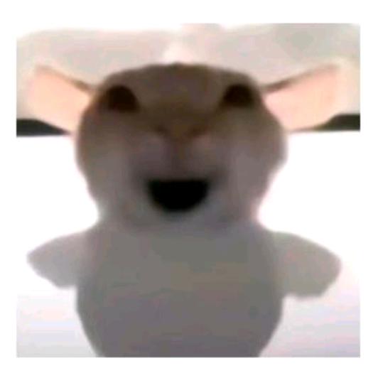 贪吃鼠鼠