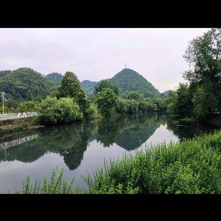 小何敏