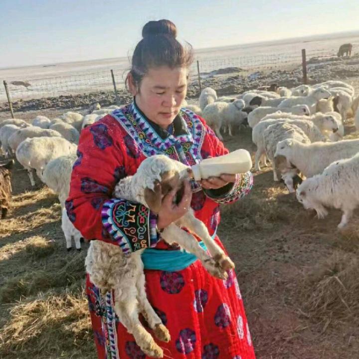 开心每一天快乐