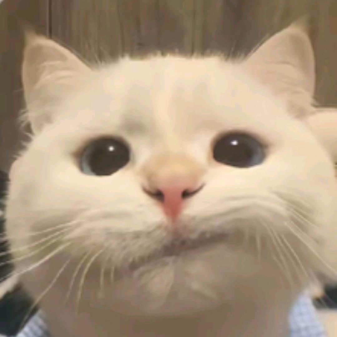 l@