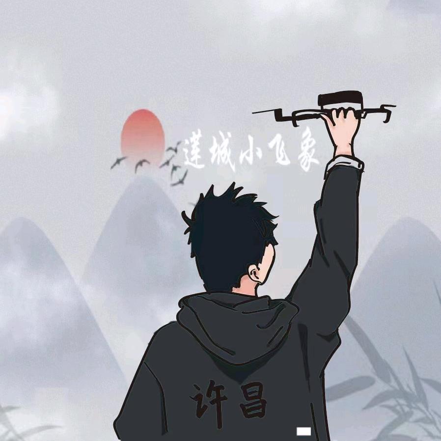 莲城小飞象