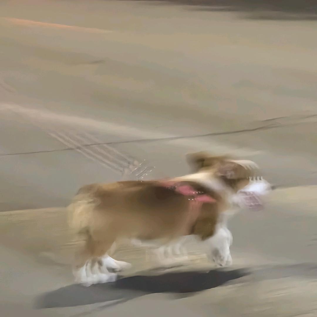 En.