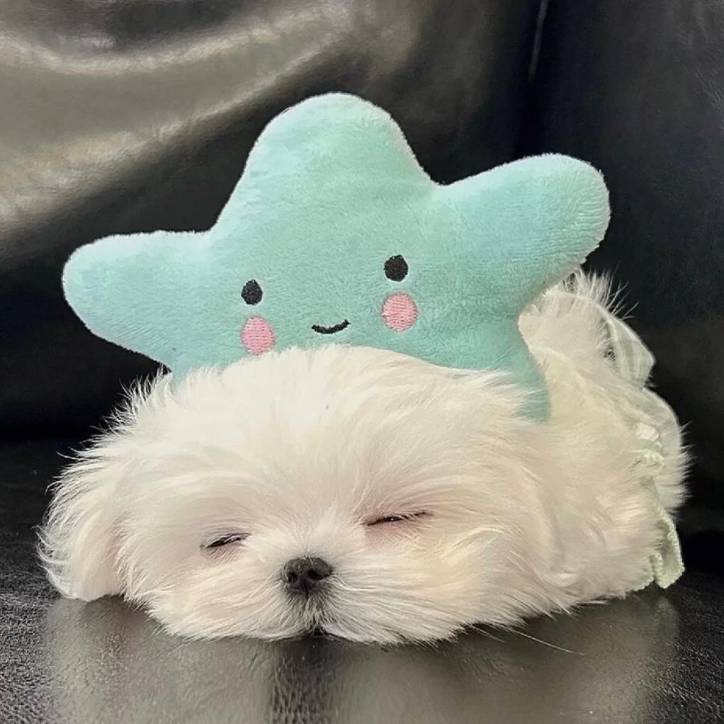 我睡觉的时候不困