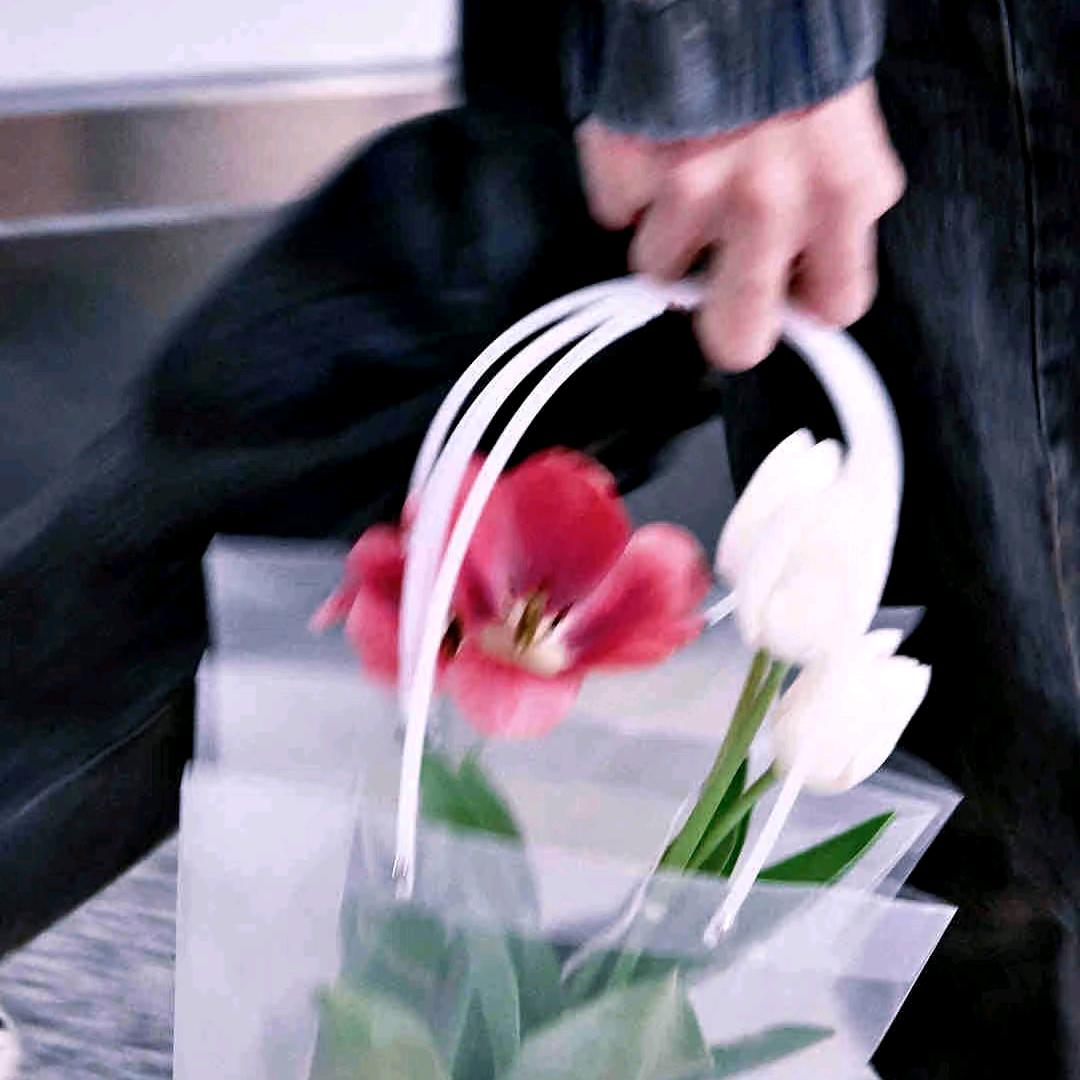 包包大王历险记