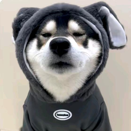 an.