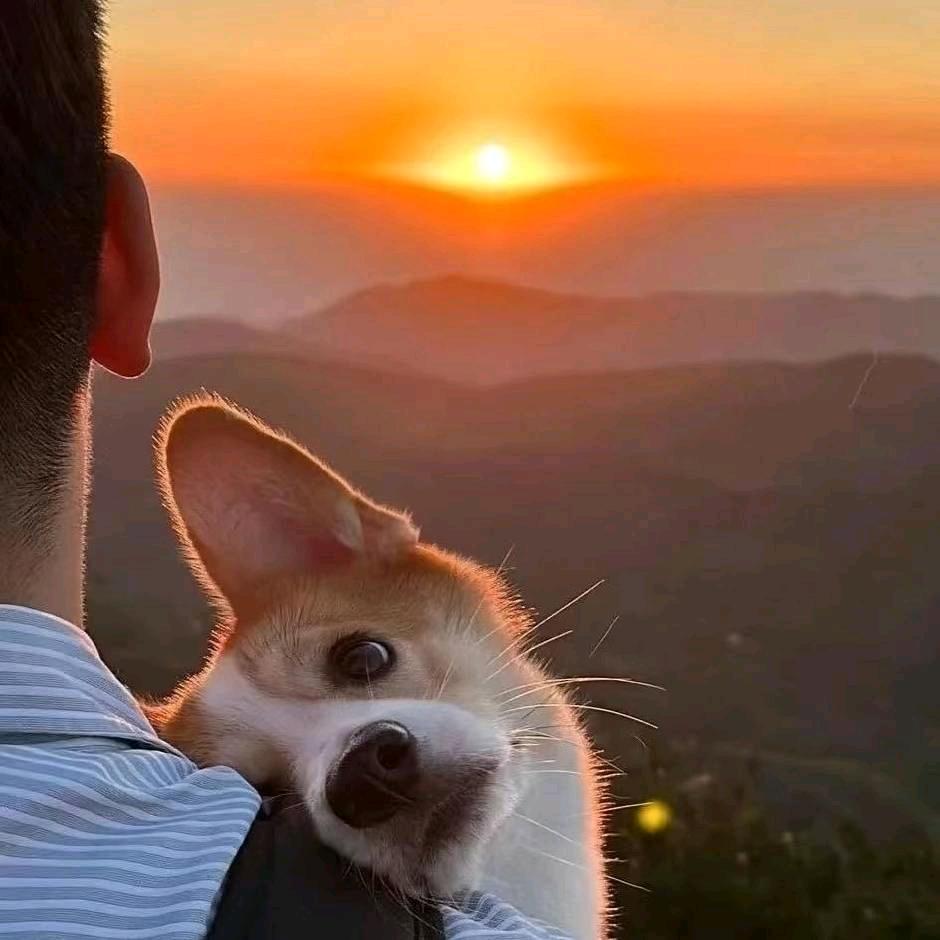 琳琳桑（三角洲）