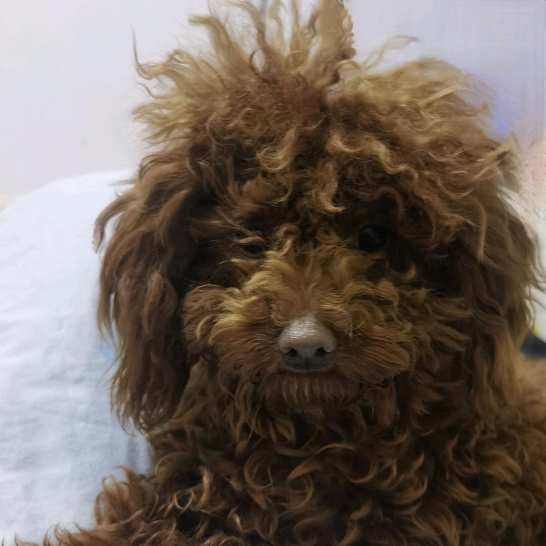 不知道该叫什么