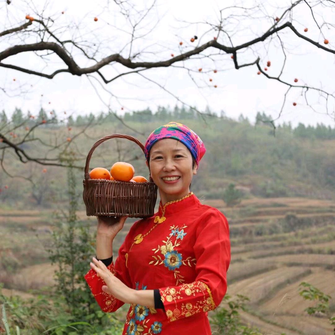 莲大妈（停播学习中