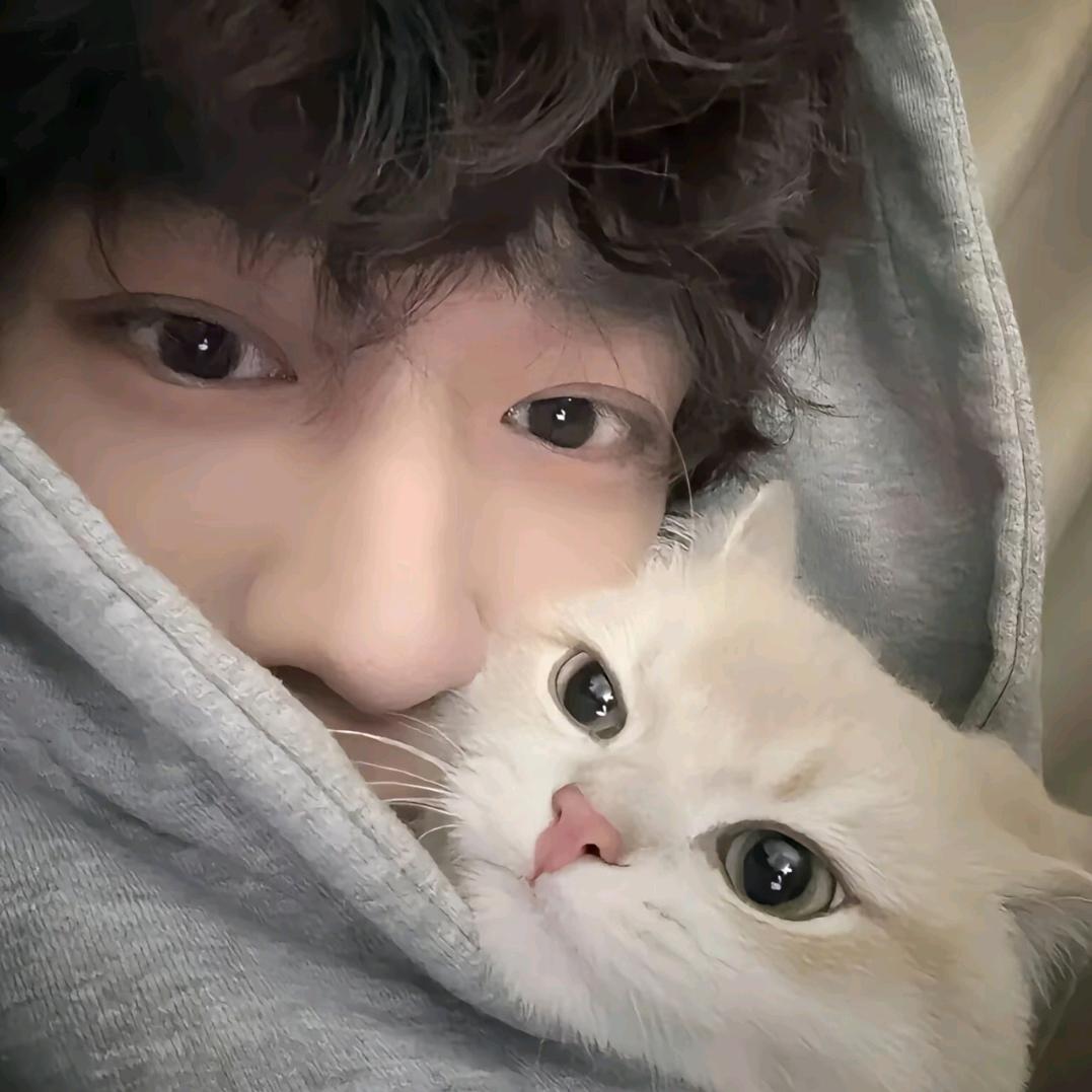 琪仔的红旗🚩-H5