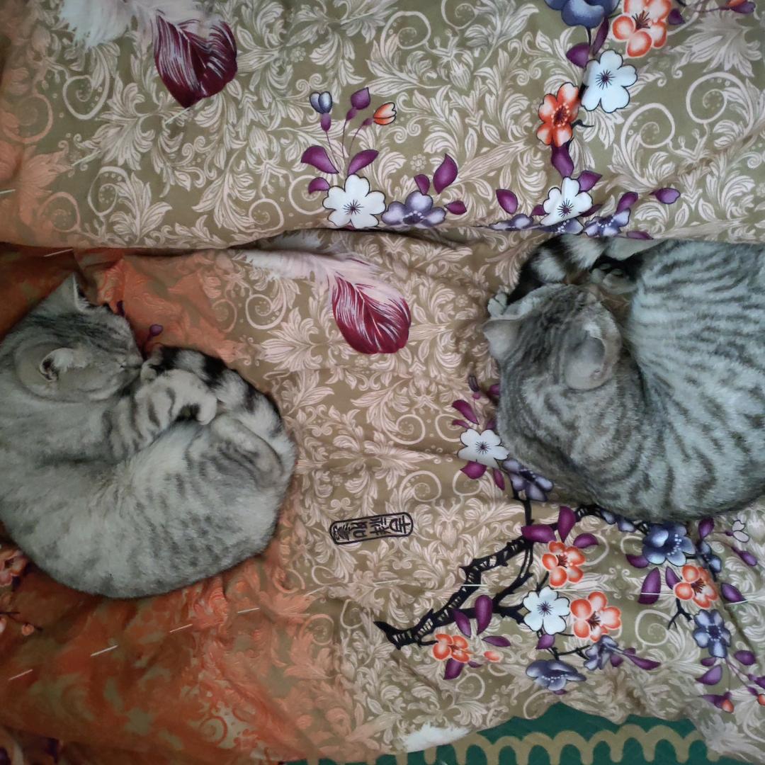 诛仙怀旧946428375