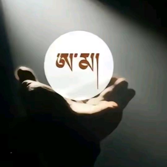 AVJL