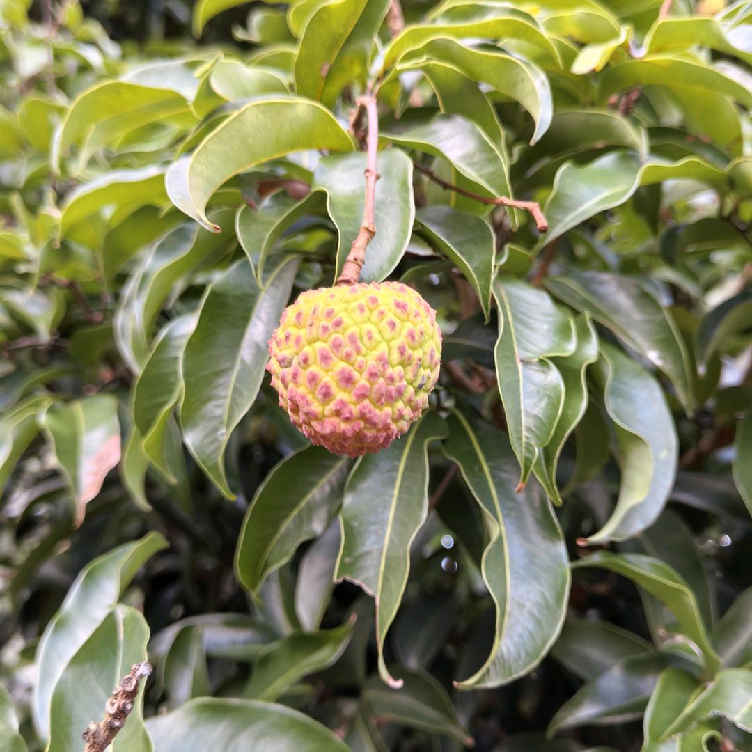 夸张户外