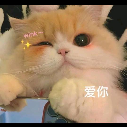 小呦呦