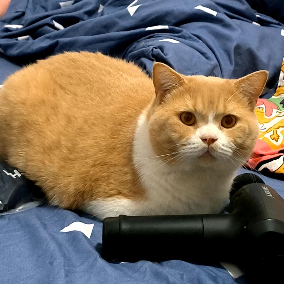 惠一刀刀刀暴击