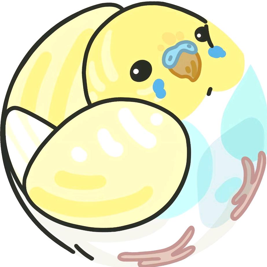小鹦汤圆