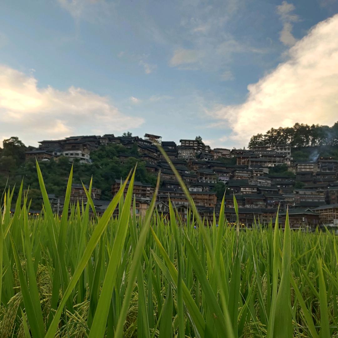 君子当有龙蛇之变