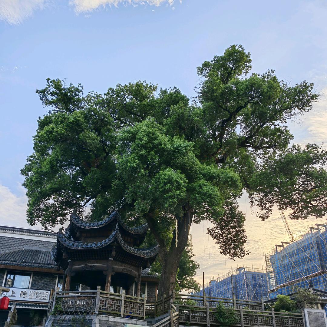 何处容天下