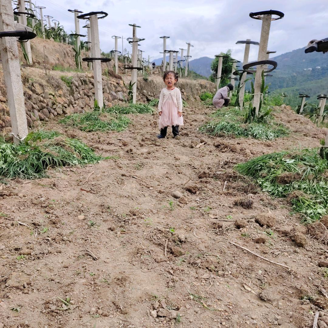 农村爱妹记录生活