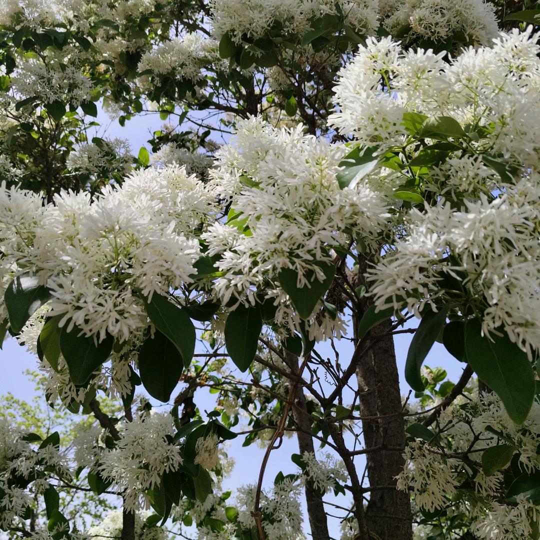 不撞南墙不回头