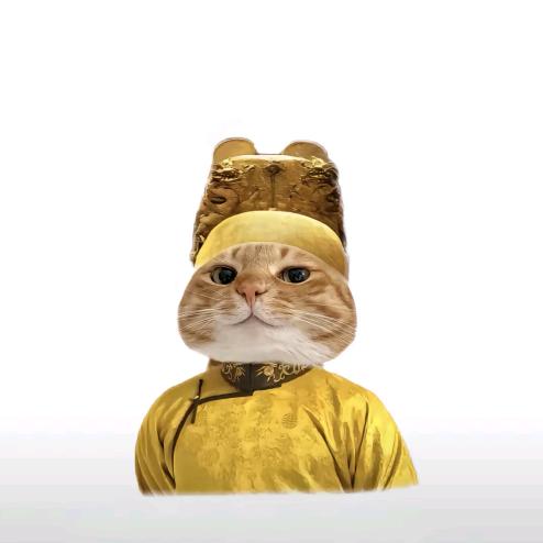 兔老大🐰