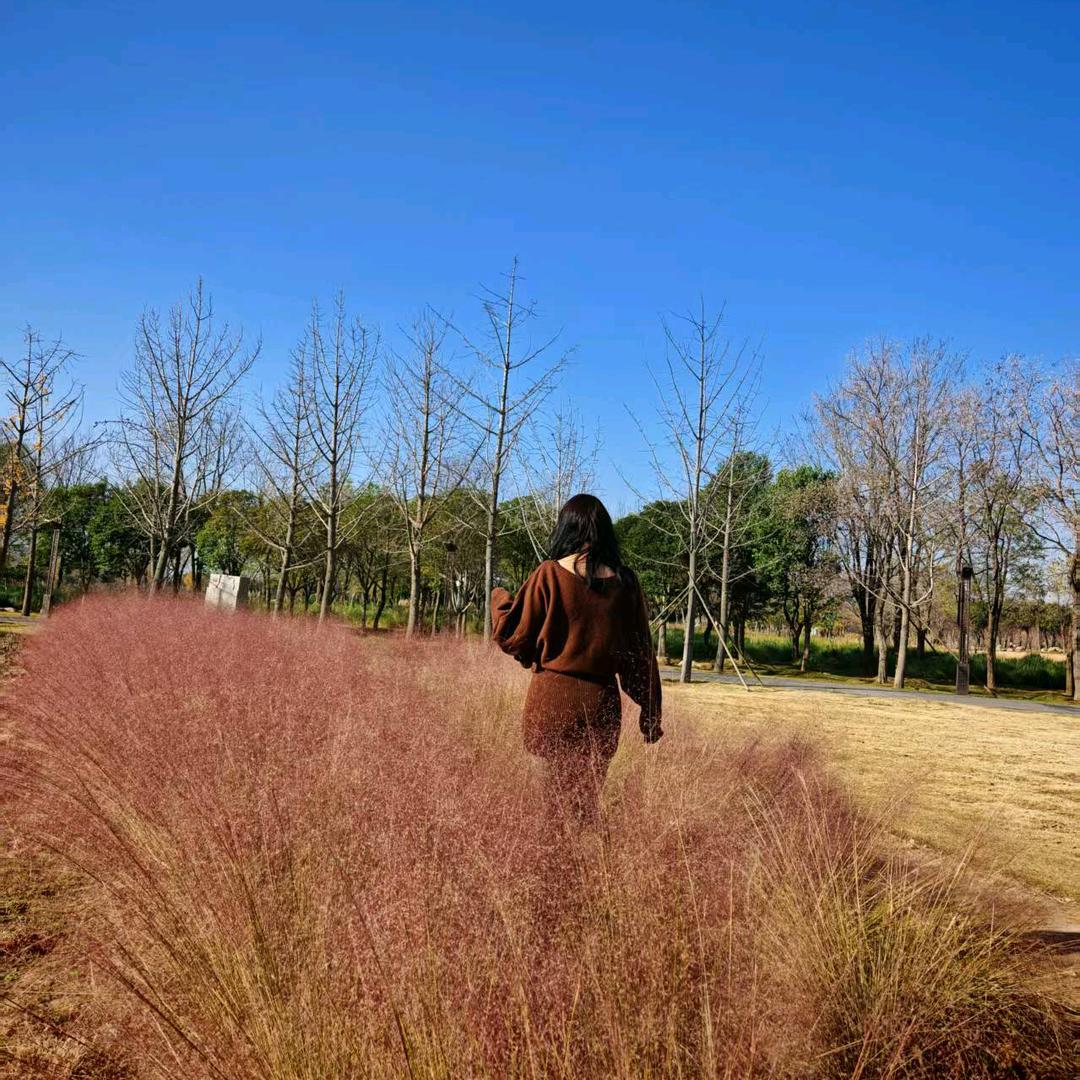 ꩵ葑ᩚ訫ᩚꦿ꯭鎖ᩚ愛ᩚꩵ