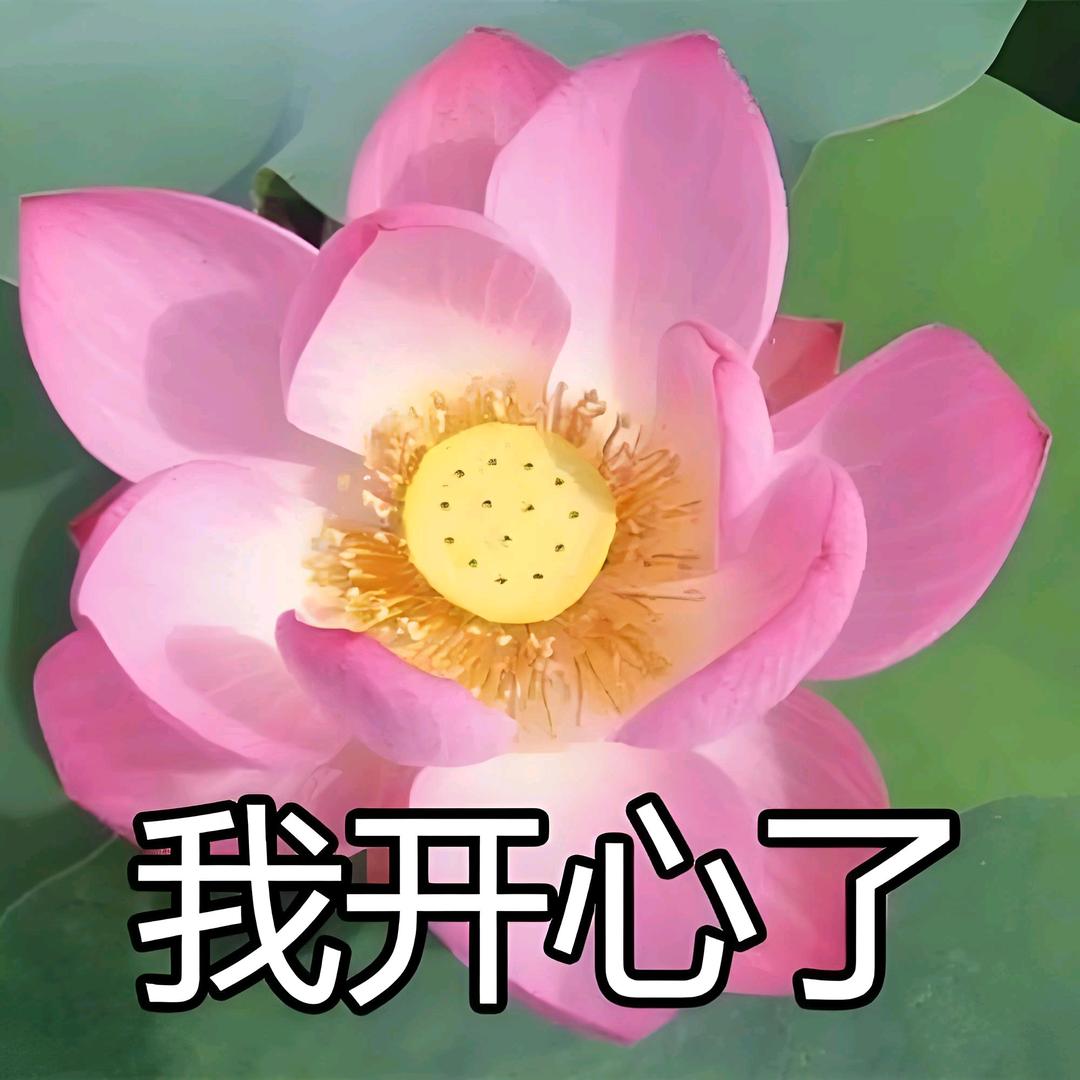芯芷蕾