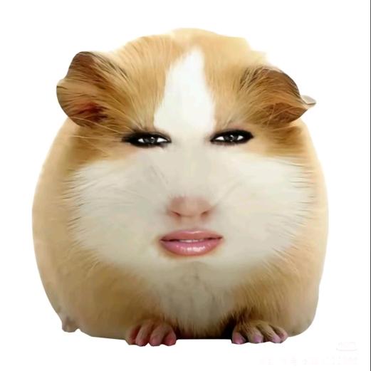 十点.