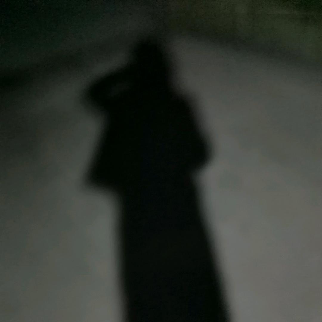 双双