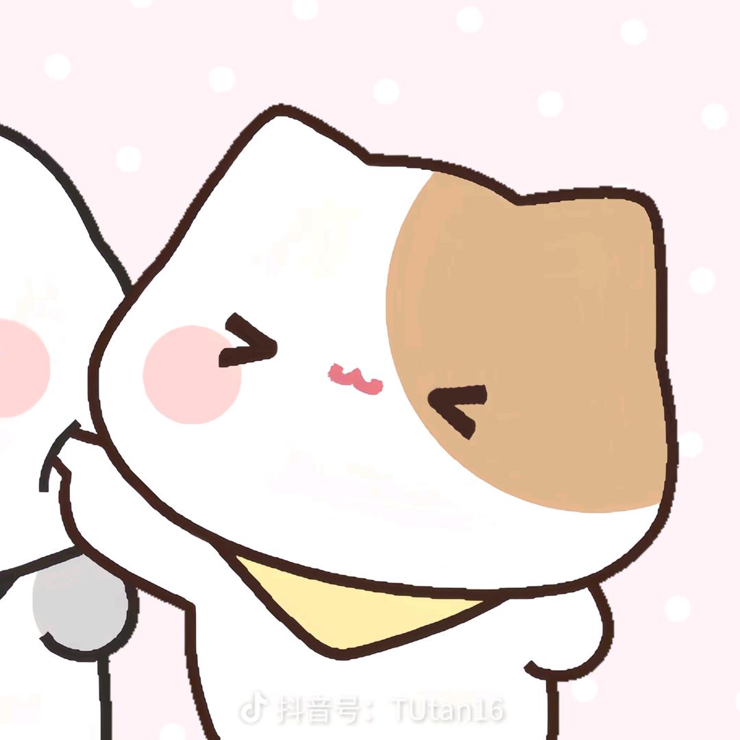 小袁来了